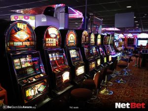 79r|Cassino oficial bingo online em reais Jogue Agora
